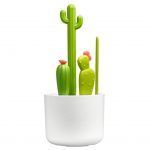 Flessenborstels cacti cactus set